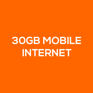 30gb mobile internet
