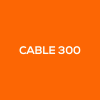 cable 300 internet